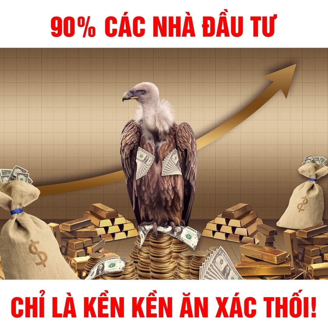 90% CÁC NHÀ ĐẦU TƯ CHỈ LÀ KỀN KỀN ĂN XÁC THỐI
